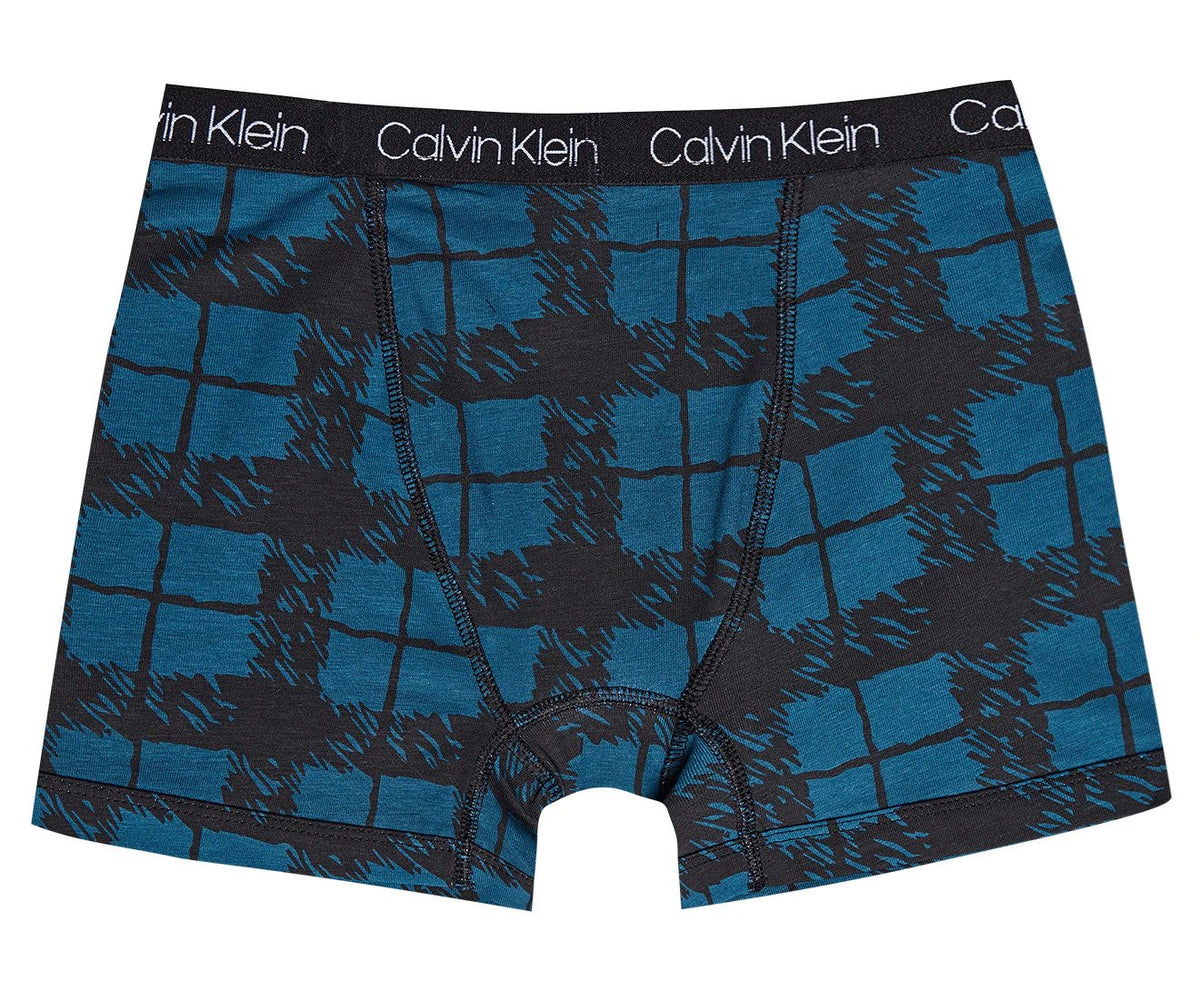 Calvin Klein Boys' Cotton Stretch Boxer Briefs 2-Pack - Blue Plaid/Blue Lake