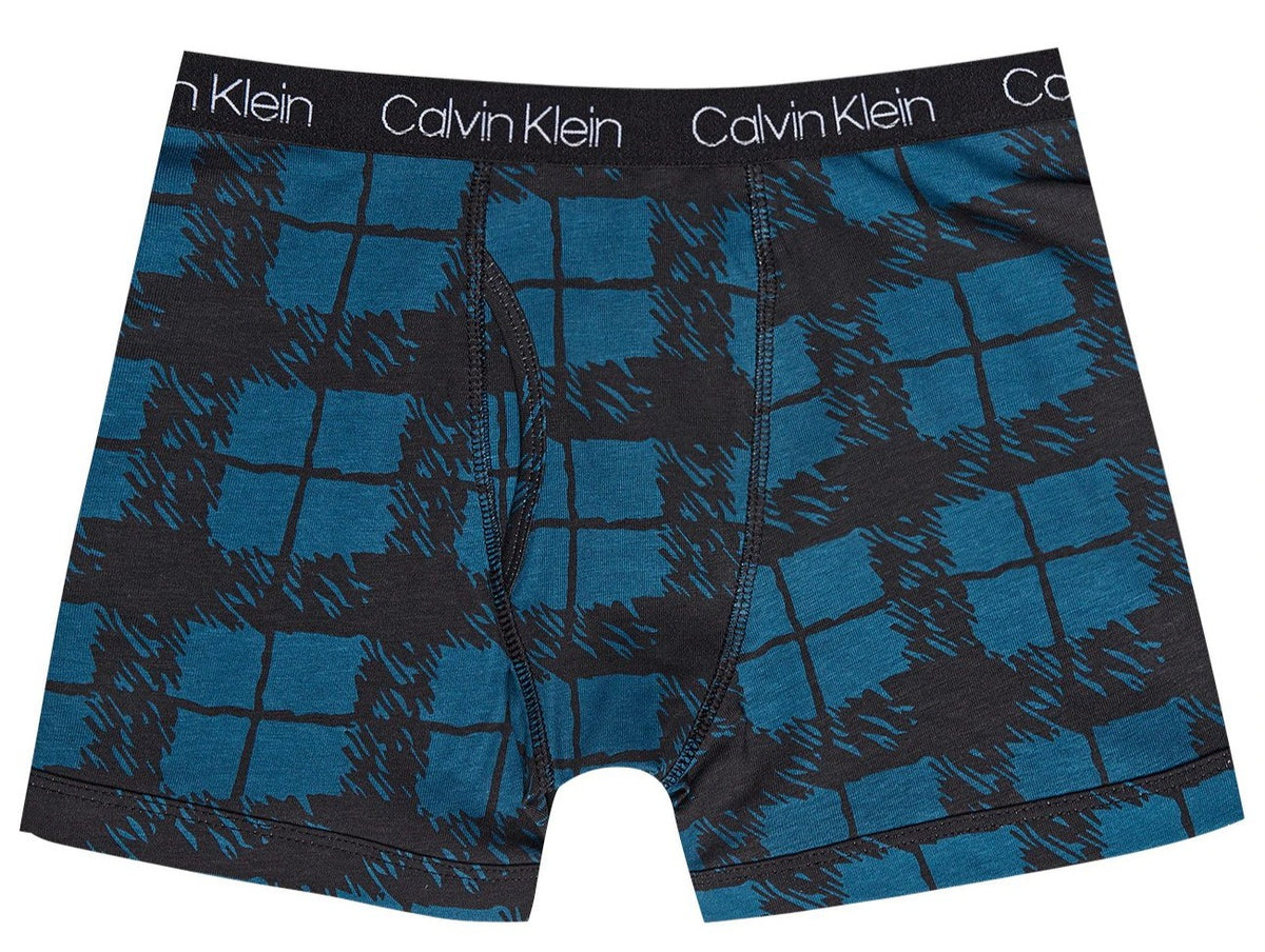 Calvin Klein Boys' Cotton Stretch Boxer Briefs 2-Pack - Blue Plaid/Blue Lake