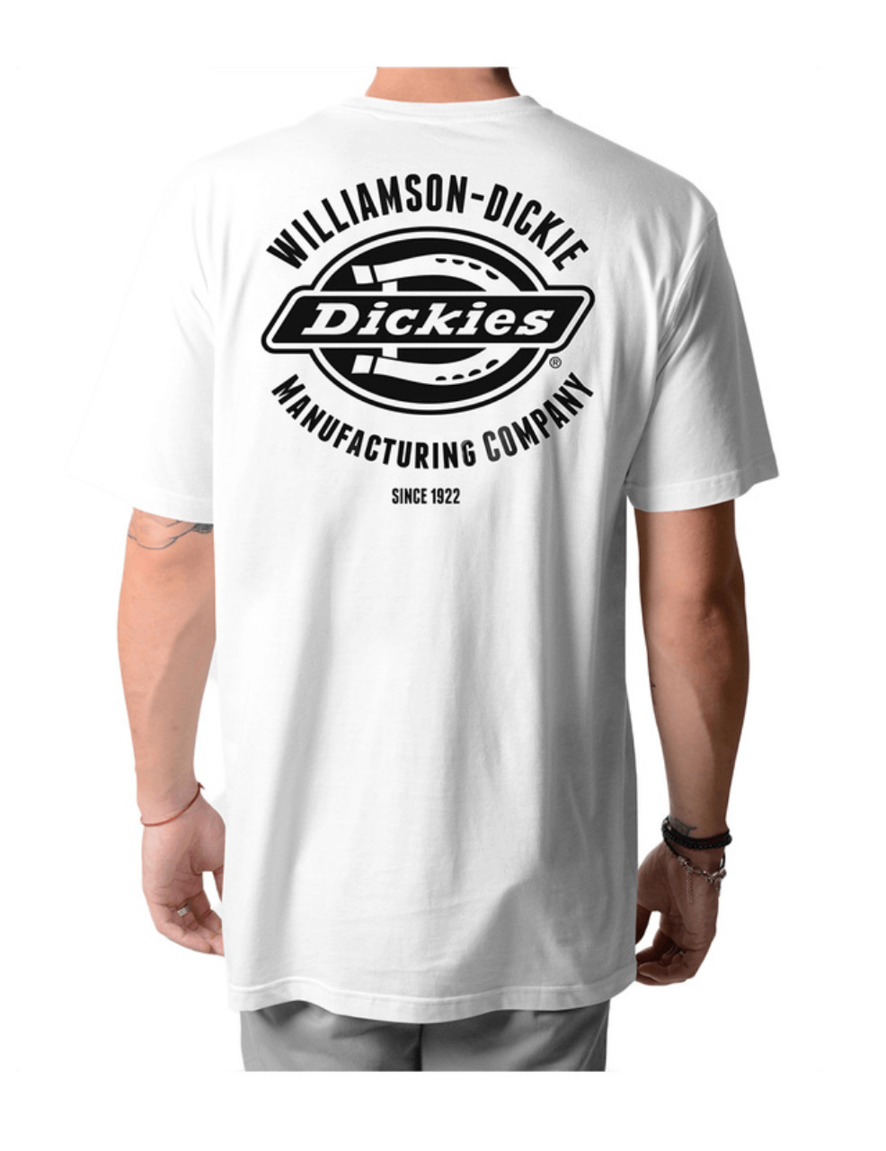 Dickies Men's Logo Graphic T-Shirt Cotton Regular Fit Casual Workwear Tee - White