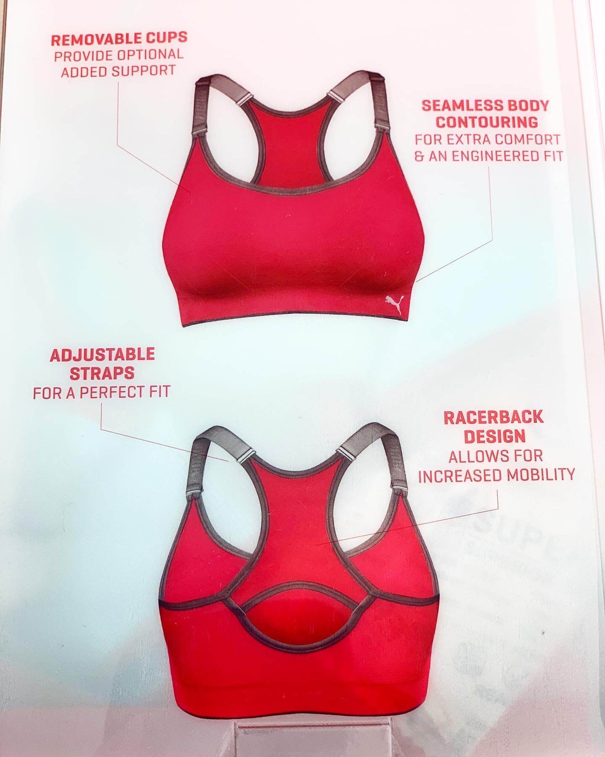 PUMA Women's Seamless Sports Bra 2 Pack - Blue/Pink